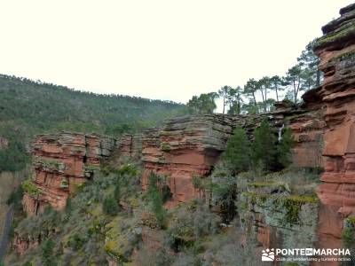 Hoces y cañones del Río Piedra y del Río Gallo -- Laguna Gallocanta - Excursiones en grupo;rutas 